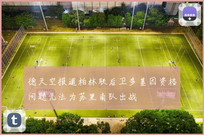 德天空报道柏林联后卫多基因资格问题无法为苏里南队出战