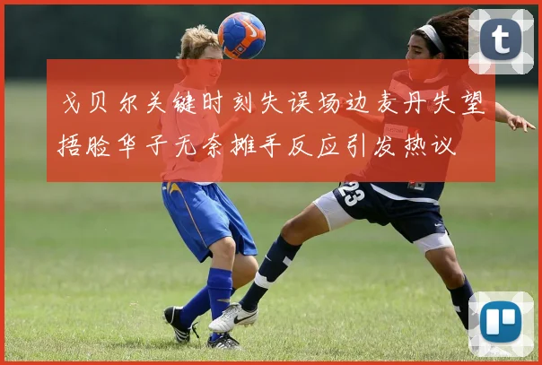 戈贝尔关键时刻失误场边麦丹失望捂脸华子无奈摊手反应引发热议