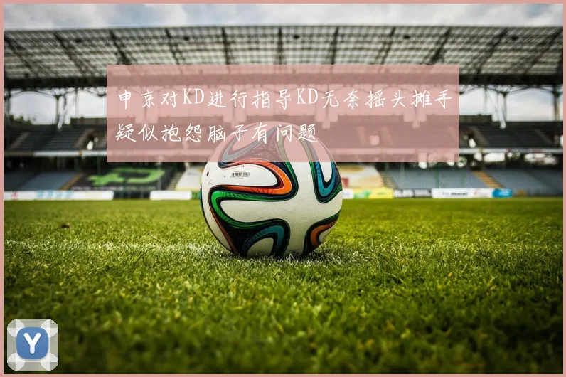 申京对KD进行指导KD无奈摇头摊手疑似抱怨脑子有问题