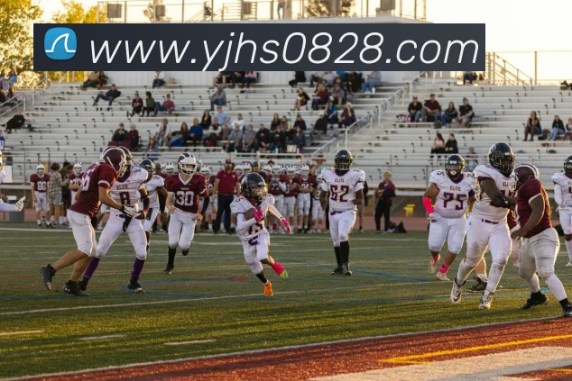 星空app官网登录入口发展历程